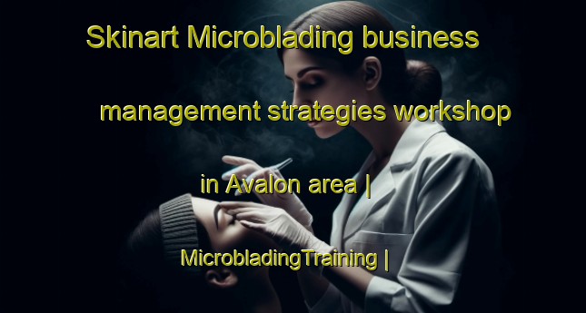 Skinart Microblading business management strategies workshop in Avalon area | MicrobladingTraining | MicrobladingClasses | SkinartTraining-South Africa